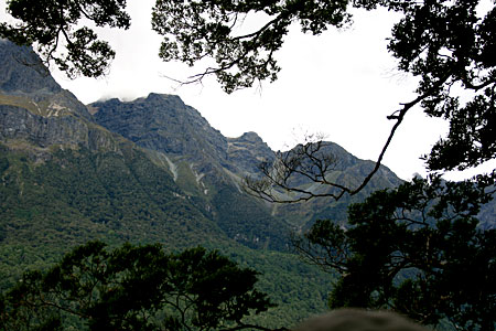 New Zealand