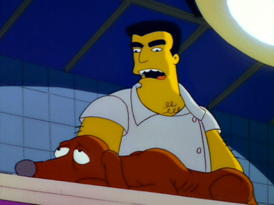 The Simpsons' vet